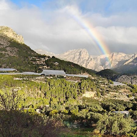 Finca Oliva Bolulla Екстериор снимка