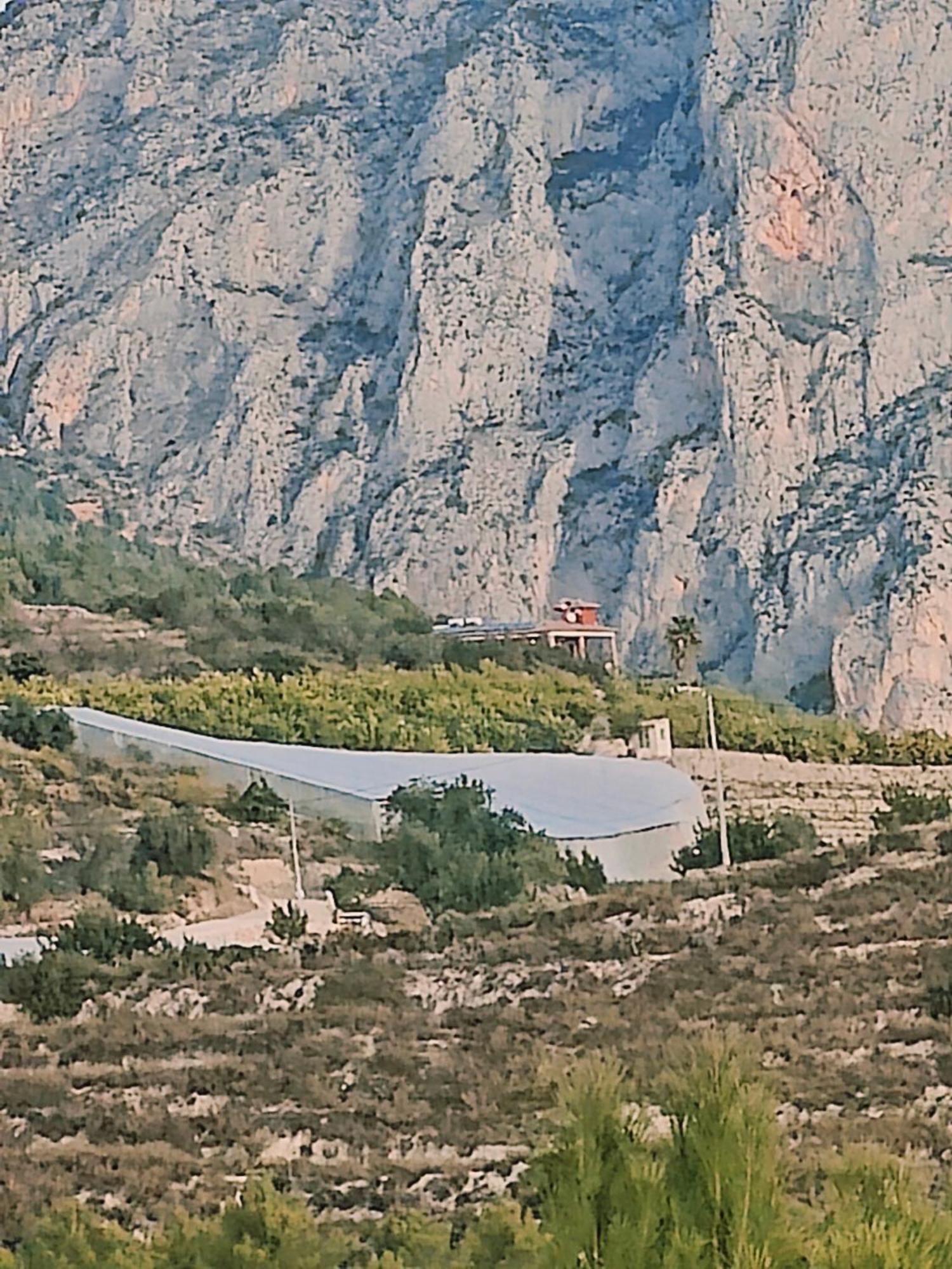 Finca Oliva Bolulla Екстериор снимка